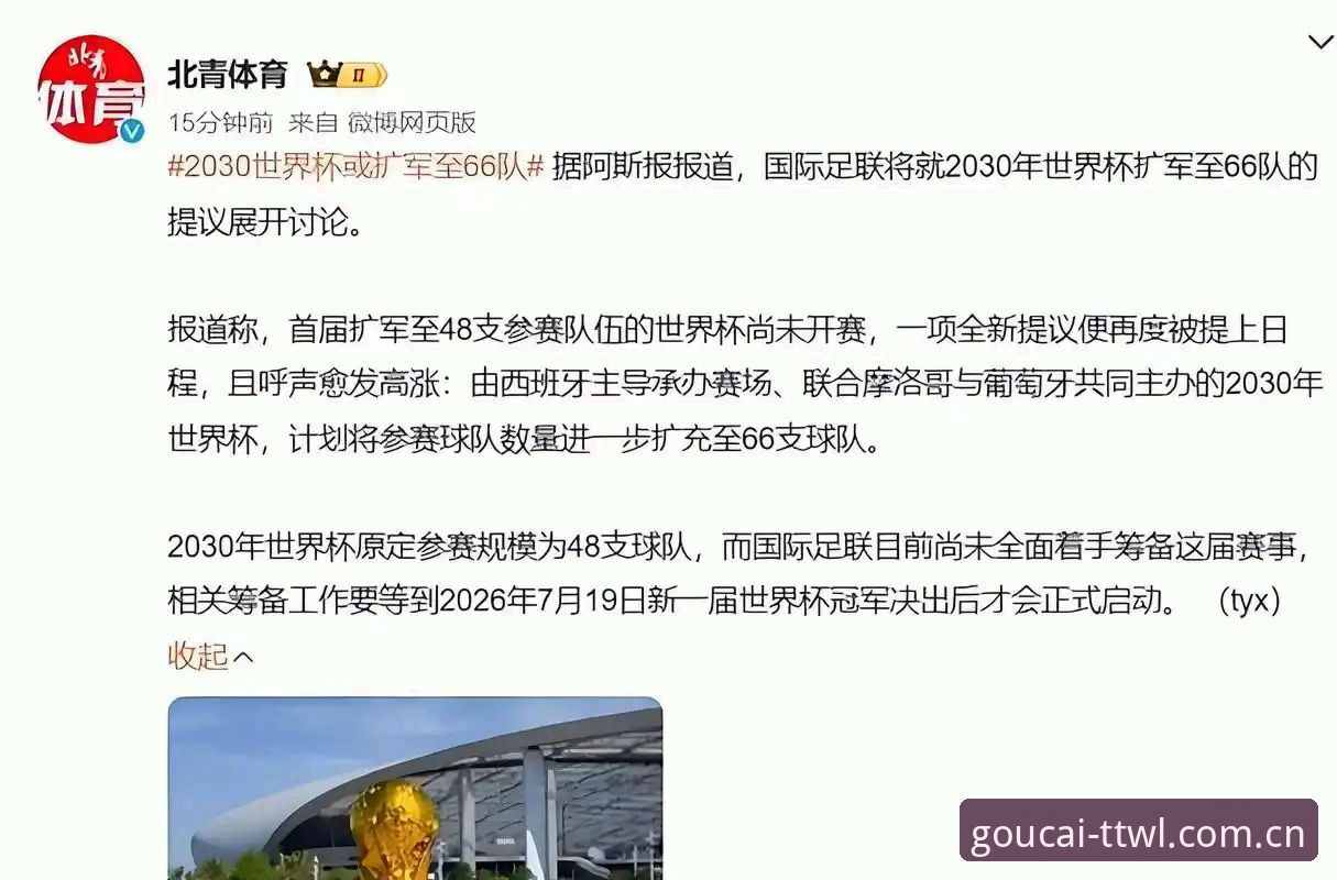 世界杯扩军至66队实用知识：中国男足入场机会与观赛必备指南